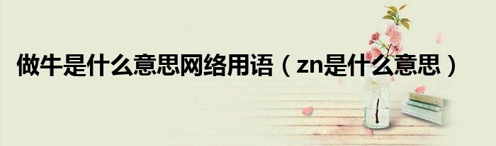 做牛是什么意思网络用语（zn是什么意思）