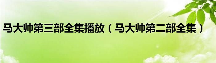 马大帅第三部全集播放（马大帅第二部全集）