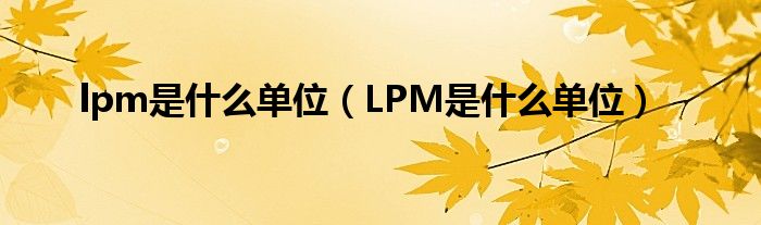 lpm是什么单位（LPM是什么单位）