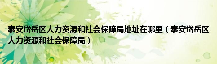 泰安岱岳区人力资源和社会保障局地址在哪里（泰安岱岳区人力资源和社会保障局）