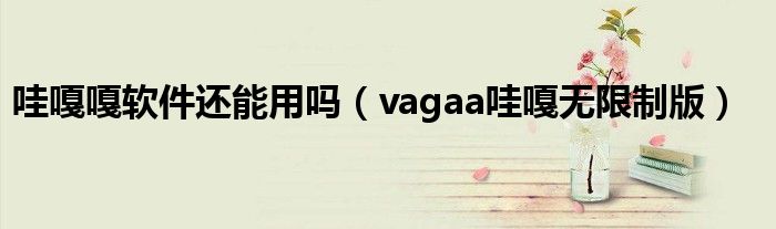 哇嘎嘎软件还能用吗（vagaa哇嘎无限制版）