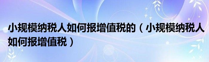 小规模纳税人如何报增值税的（小规模纳税人如何报增值税）