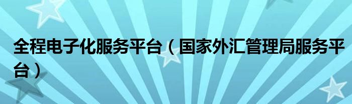 全程电子化服务平台（国家外汇管理局服务平台）