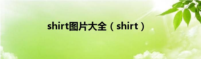 shirt图片大全（shirt）