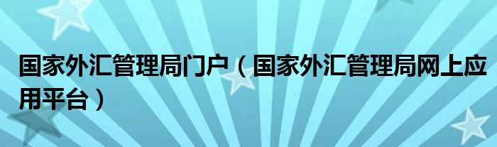 国家外汇管理局门户（国家外汇管理局网上应用平台）