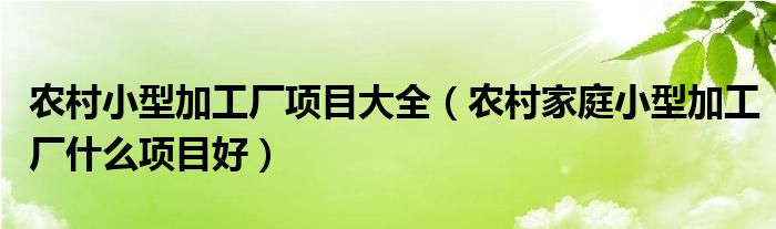 农村小型加工厂项目大全（农村家庭小型加工厂什么项目好）