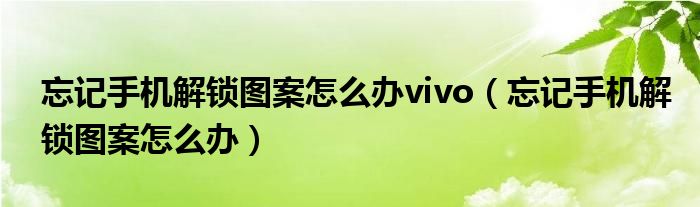 忘记手机解锁图案怎么办vivo（忘记手机解锁图案怎么办）