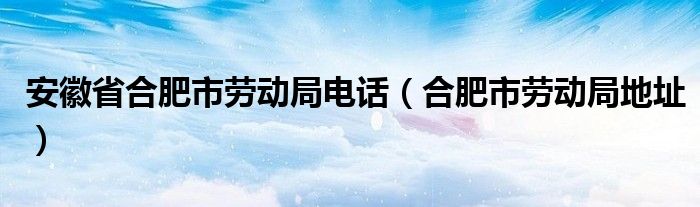 安徽省合肥市劳动局电话（合肥市劳动局地址）