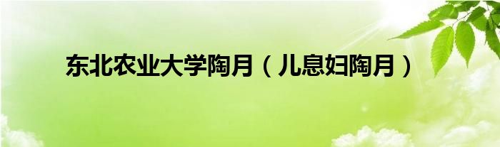 东北农业大学陶月（儿息妇陶月）