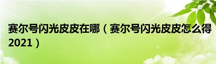 赛尔号闪光皮皮在哪（赛尔号闪光皮皮怎么得2021）