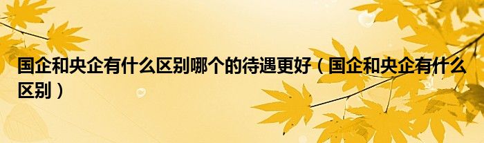 国企和央企有什么区别哪个的待遇更好（国企和央企有什么区别）