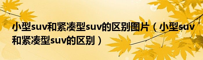 小型suv和紧凑型suv的区别图片（小型suv和紧凑型suv的区别）