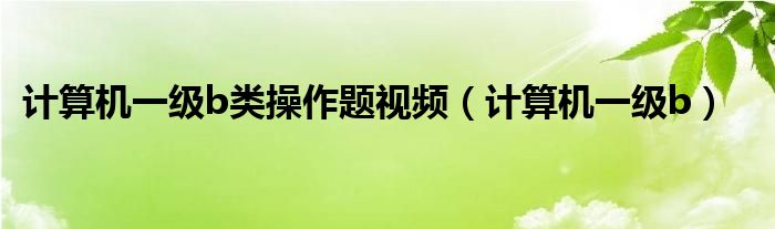 计算机一级b类操作题视频（计算机一级b）