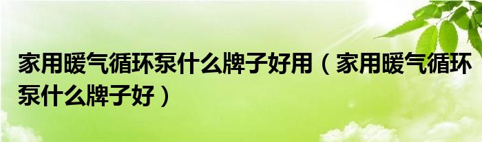 家用暖气循环泵什么牌子好用（家用暖气循环泵什么牌子好）