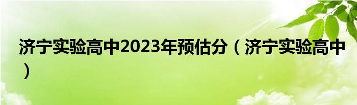 济宁实验高中2023年预估分（济宁实验高中）