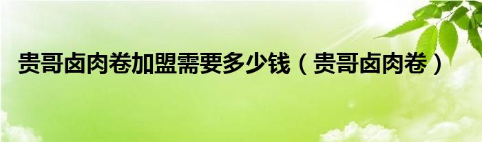 贵哥卤肉卷加盟需要多少钱（贵哥卤肉卷）