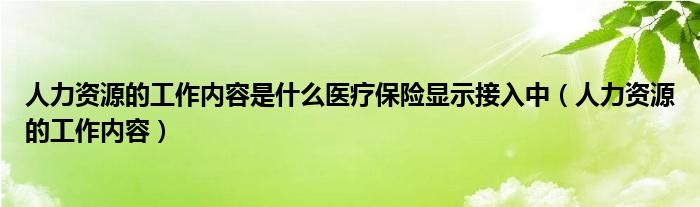 人力资源的工作内容是什么医疗保险显示接入中（人力资源的工作内容）