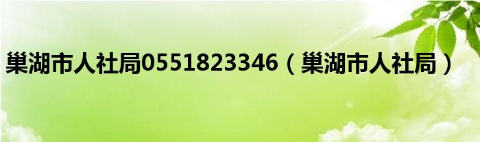 巢湖市人社局0551823346（巢湖市人社局）