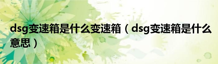 dsg变速箱是什么变速箱（dsg变速箱是什么意思）