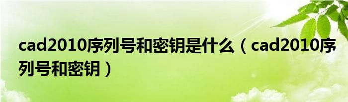 cad2010序列号和密钥是什么（cad2010序列号和密钥）