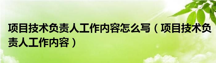 项目技术负责人工作内容怎么写（项目技术负责人工作内容）