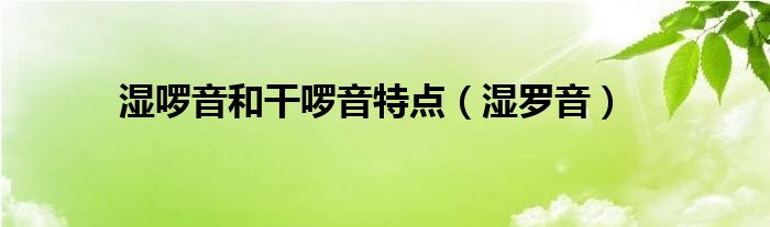 湿啰音和干啰音特点（湿罗音）