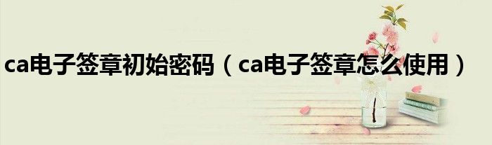 ca电子签章初始密码（ca电子签章怎么使用）