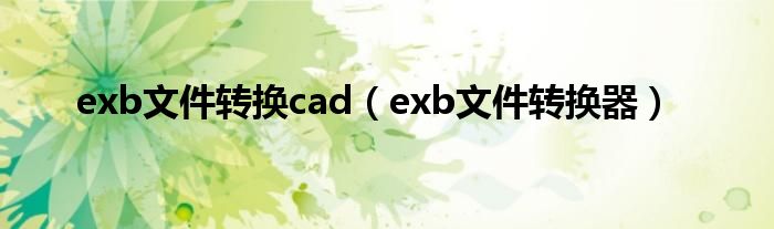 exb文件转换cad（exb文件转换器）