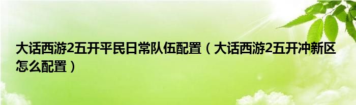 大话西游2五开平民日常队伍配置（大话西游2五开冲新区 怎么配置）