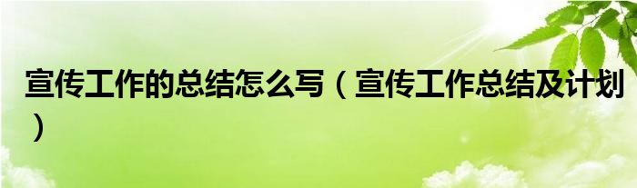 宣传工作的总结怎么写（宣传工作总结及计划）