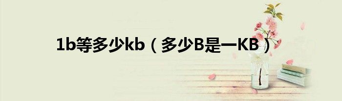 1b等多少kb（多少B是一KB）