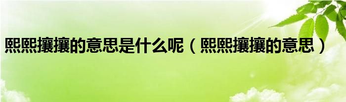 熙熙攘攘的意思是什么呢（熙熙攘攘的意思）