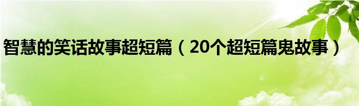 智慧的笑话故事超短篇（20个超短篇鬼故事）