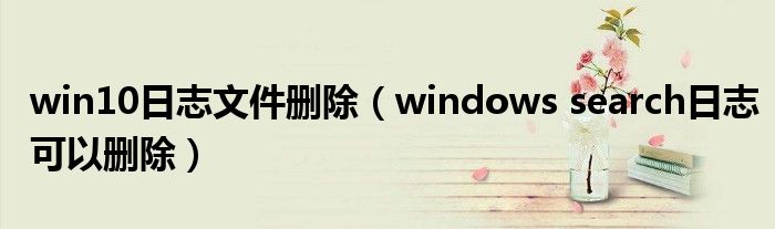 win10日志文件删除（windows search日志可以删除）