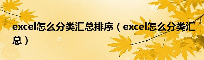 excel怎么分类汇总排序（excel怎么分类汇总）