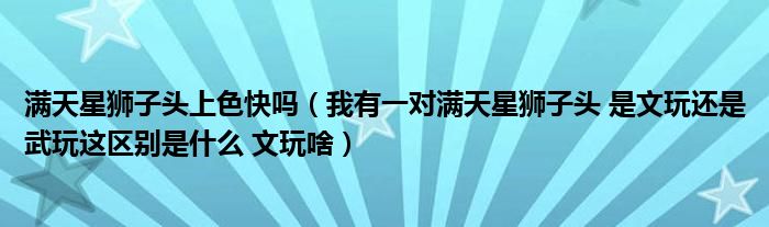 满天星狮子头上色快吗（我有一对满天星狮子头 是文玩还是武玩这区别是什么 文玩啥）