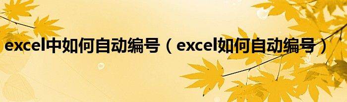 excel中如何自动编号（excel如何自动编号）