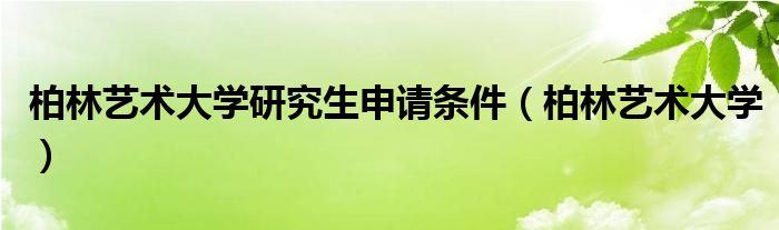 柏林艺术大学研究生申请条件（柏林艺术大学）