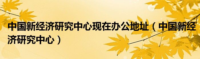 中国新经济研究中心现在办公地址（中国新经济研究中心）