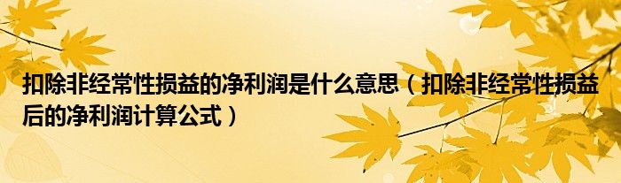 扣除非经常性损益的净利润是什么意思（扣除非经常性损益后的净利润计算公式）