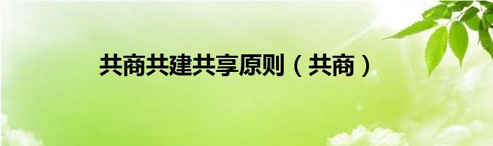 共商共建共享原则（共商）