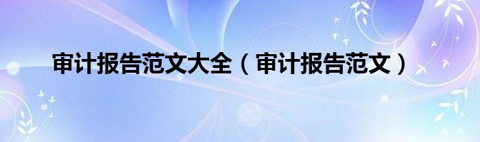 审计报告范文大全（审计报告范文）