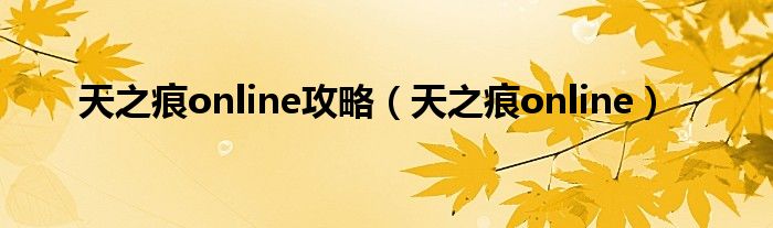 天之痕online攻略（天之痕online）