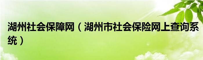 湖州社会保障网（湖州市社会保险网上查询系统）