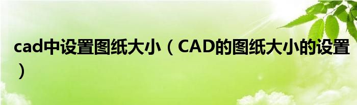 cad中设置图纸大小（CAD的图纸大小的设置）