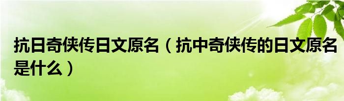 抗日奇侠传日文原名（抗中奇侠传的日文原名是什么）