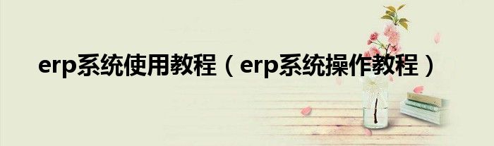 erp系统使用教程（erp系统操作教程）