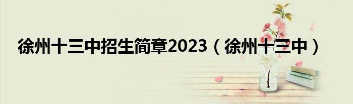 徐州十三中招生简章2023（徐州十三中）