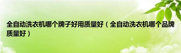 全自动洗衣机哪个牌子好用质量好（全自动洗衣机哪个品牌质量好）