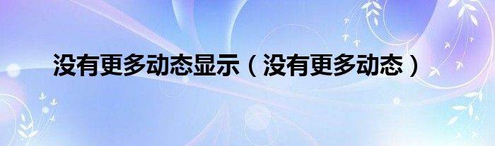 没有更多动态显示（没有更多动态）